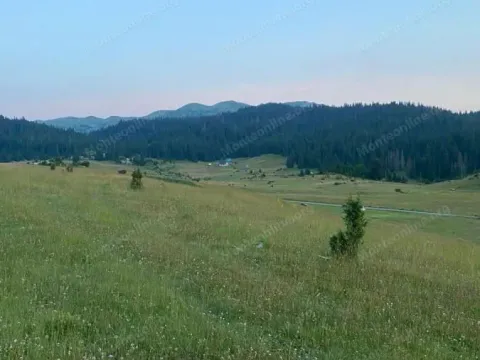 Prodaja, plac, 15531m², Krš, Žabljak - image 4