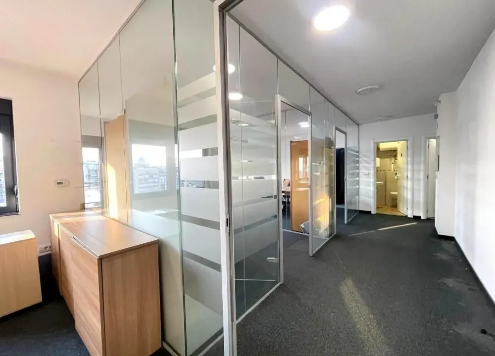 Izdavanje, poslovni prostor, 233m², Južni Bulevar, Vračar Sve Podlokacije