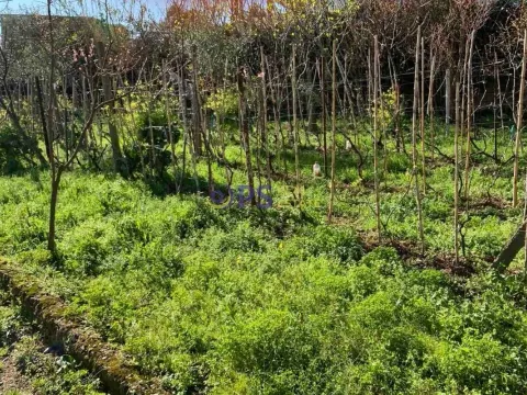 Sale, house, 67m², Bar, Crna Gora - image 13