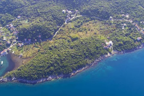 Pogled iz vazduha na priobalni dio i zelenilo pored mora. - image 3