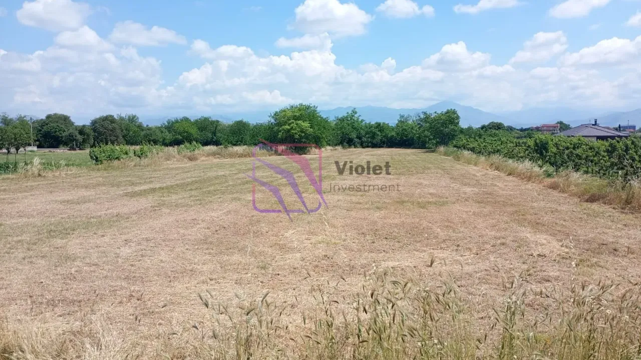 Sale, land lot, 1850m², Farmaci, Podgorica