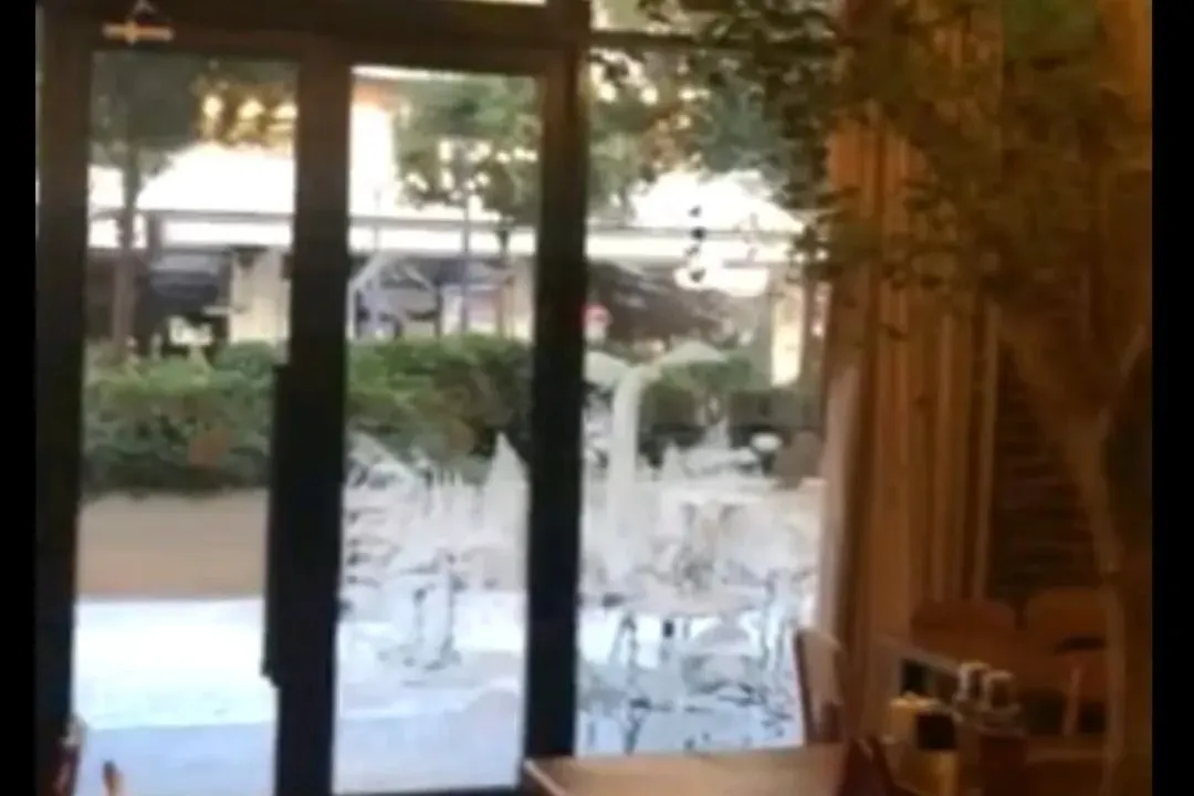 Izdavanje, poslovni prostor, 60m², Central Point, Podgorica