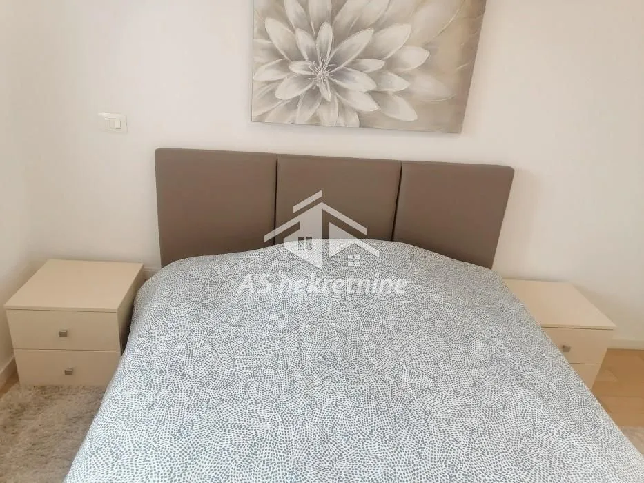 Izdavanje, dvosoban stan, 55m², Novi Beograd Blok 67, Novi Beograd Sve Podlokacije