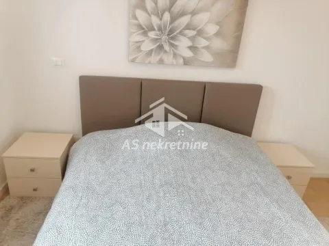 Izdavanje, dvosoban stan, 55m², Novi Beograd Blok 67, Novi Beograd Sve Podlokacije - image 13