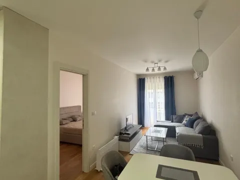 Rent, one bedroom apartment, 43m², Central Point, Podgorica - image 3