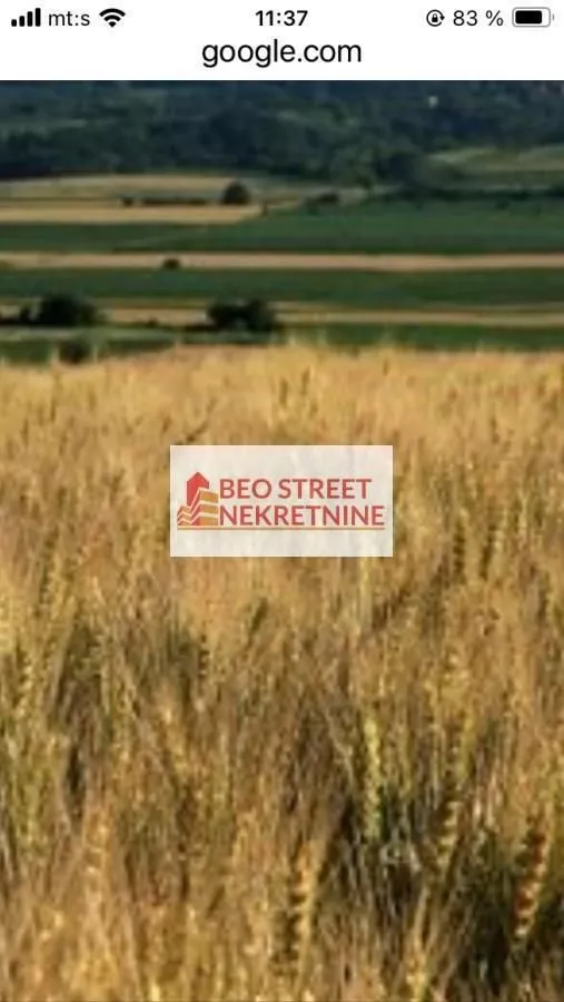 Prodaja, plac, 2600m², Veliko Gradište, Srbija