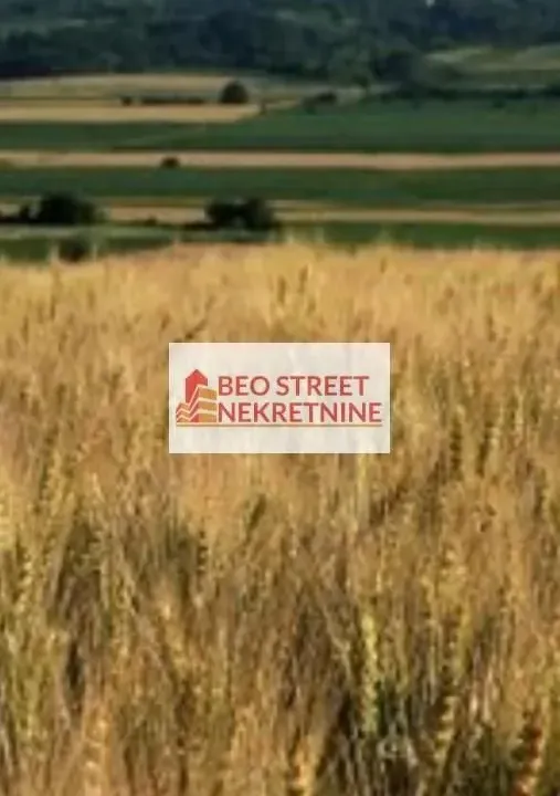 Prodaja, plac, 2600m², Veliko Gradište, Srbija