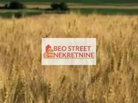 Sale, land lot, 26m², Veliko Gradište, Srbija