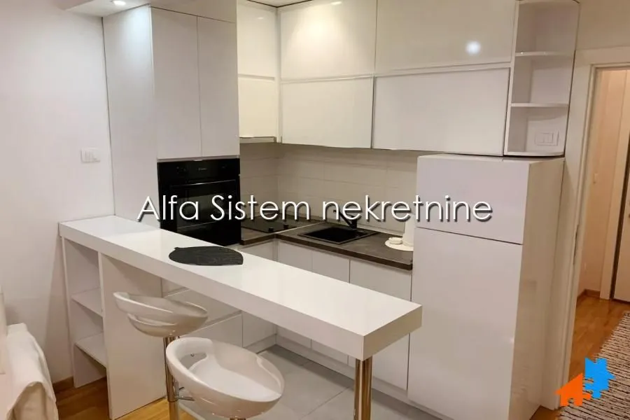Rent, one bedroom apartment, 35m², Novi Beograd Blok 67, Novi Beograd Sve Podlokacije