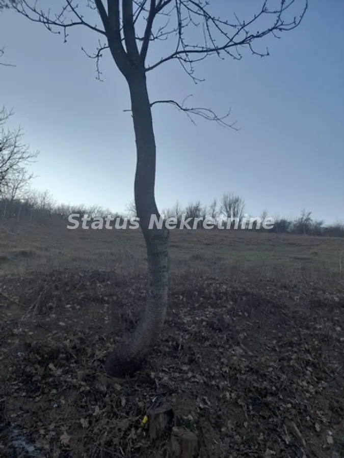 Sale, house, 100m², Beočin, Srbija