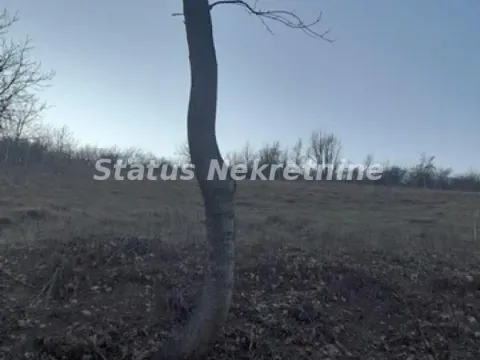 Prodaja, kuća, 100m², Beočin, Srbija - image 7