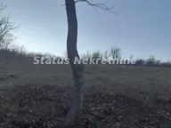 Prodaja, kuća, 100m², Beočin, Srbija - image 7