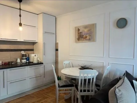 Rent, one bedroom apartment, 47m², Krivi Most, Podgorica - image 2