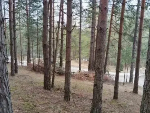 Sale, land lot, 1143m², Zlatibor, Srbija - image 2