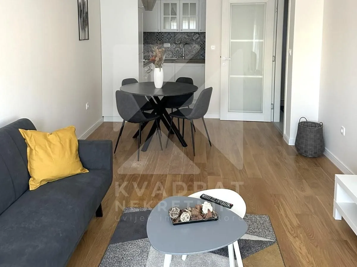 Rent, one bedroom apartment, 47m², Central Point, Podgorica