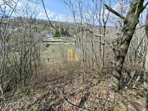 Prodaja, plac, 1415m², Alibegovac, Petrovaradin - image 5