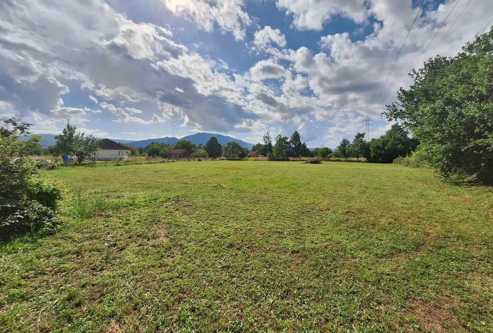 Prodaja, plac, 3000m², Martinići, Danilovgrad