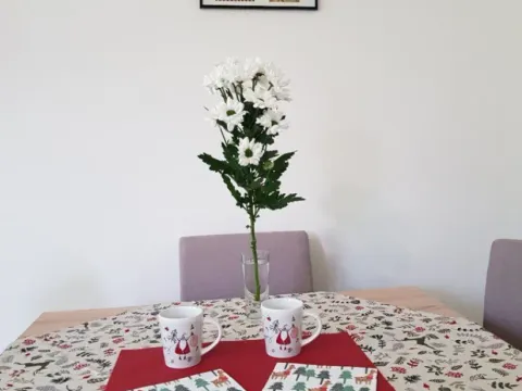 Izdavanje, jednosoban stan, 35m², Centar, Novi Sad - image 13