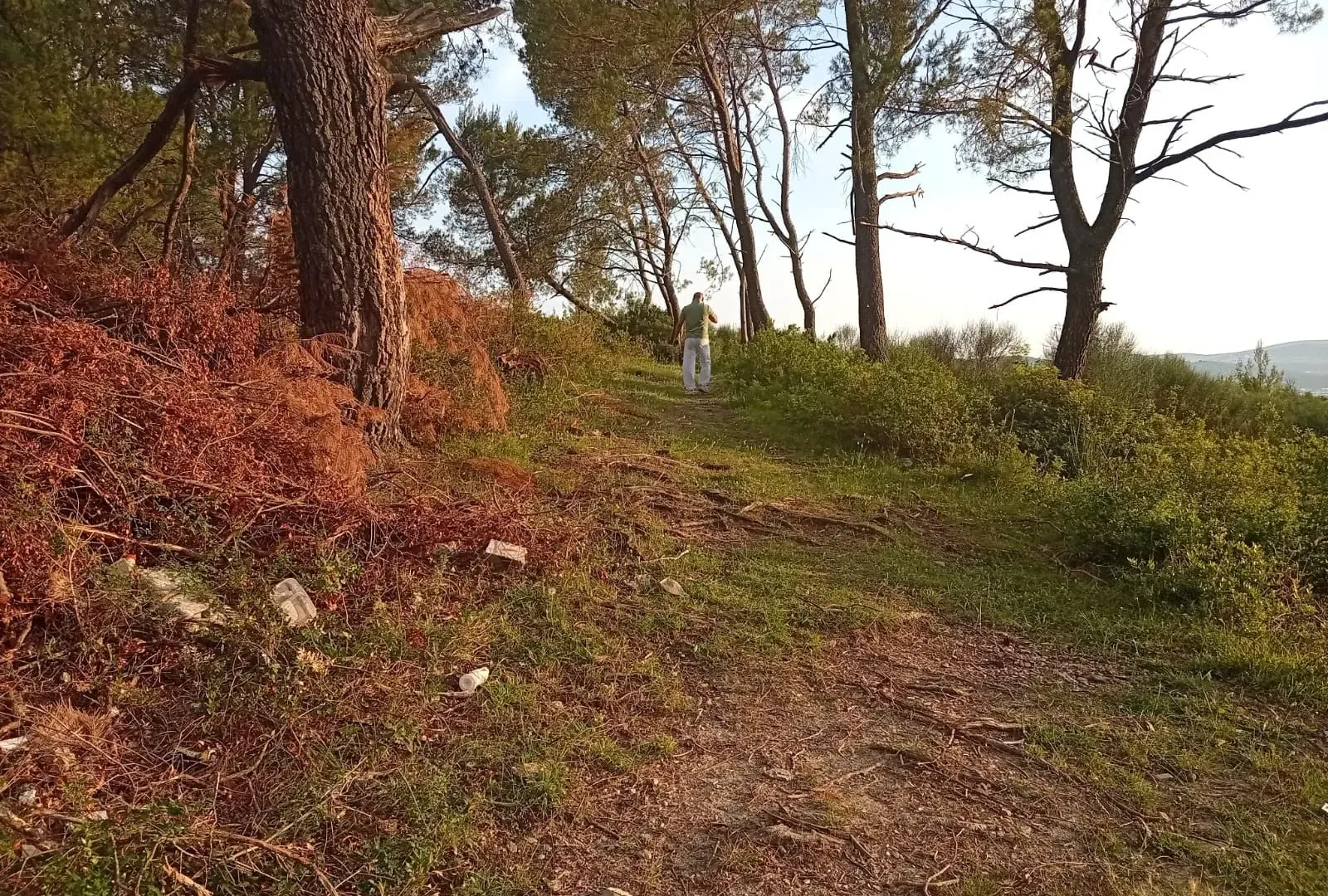 Prodaja, plac, 1530m², Mrčevac, Tivat