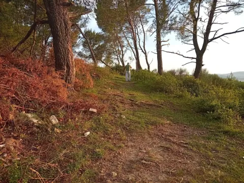 Prodaja, plac, 1530m², Mrčevac, Tivat - image 3