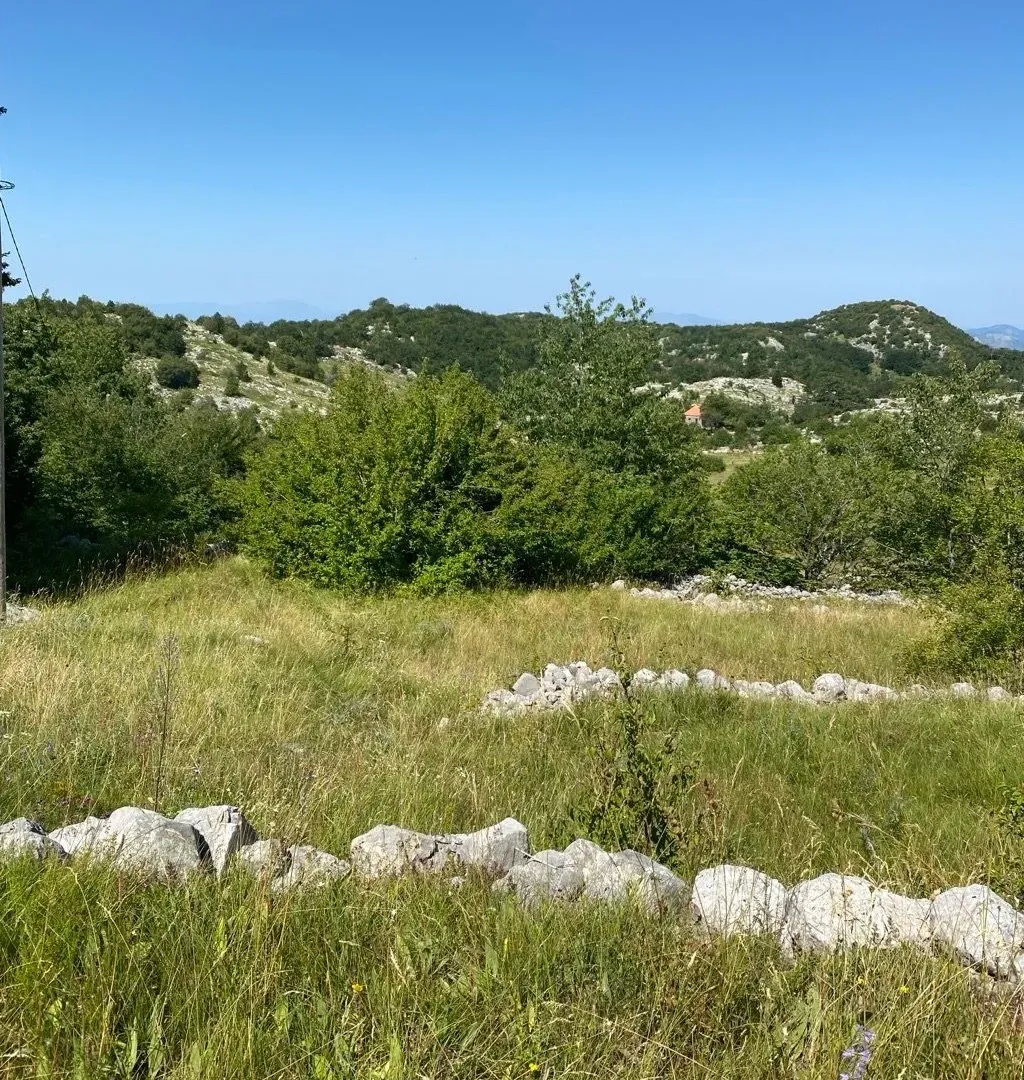 Sale, land lot, 30000m², Kuči, Podgorica