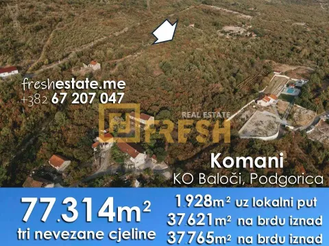 Sale, land lot, 77314m², Ostalo, Podgorica