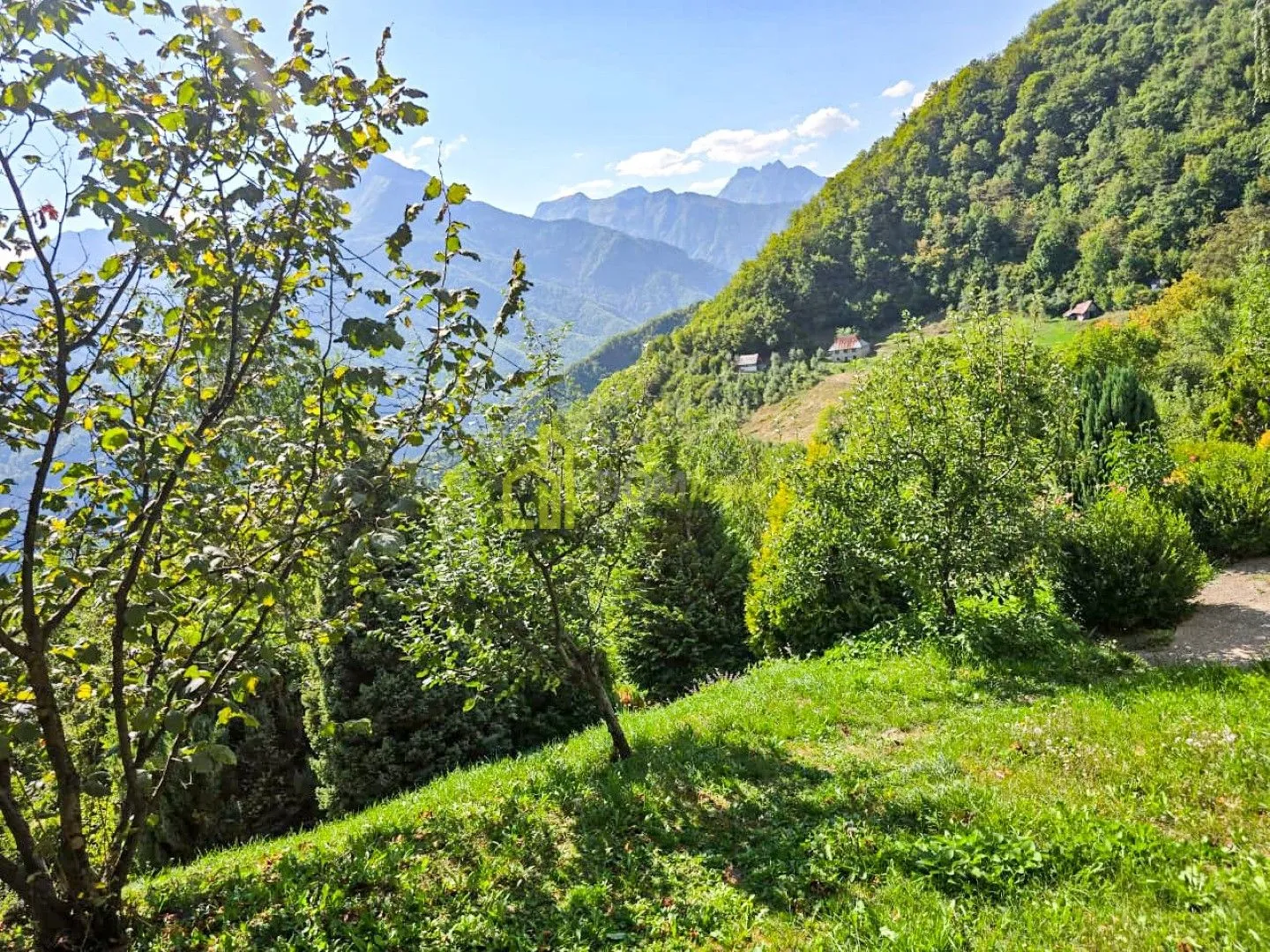 Prodaja, plac, 10000m², Kolašin, Crna Gora