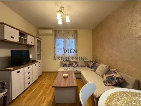 Izdavanje, dvosoban stan, 47m², Zabjelo, Podgorica - image 7