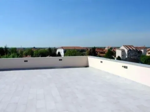 Izdavanje, poslovni prostor, 230m², Altina, Beograd - image 9