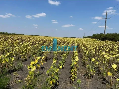 Sale, land lot, 16700m², Deč, Pećinci - image 7