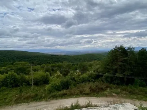 Prodaja, ugostiteljski objekat, 1600m², Merošina, Niš - image 14