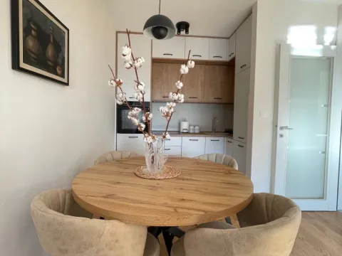 Izdavanje, jednosoban stan, 50m², Central Point, Podgorica - image 11