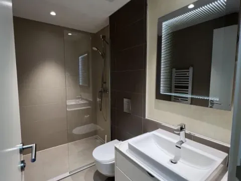 Izdavanje, jednosoban stan, 30m², Savski Venac, Beograd - image 12