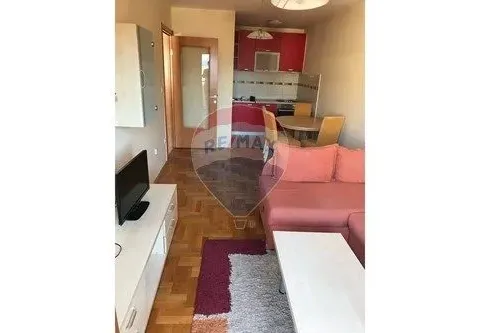 Izdavanje, jednosoban stan, 45m², Stari Aerodrom, Podgorica - image 5