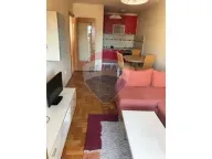 Izdavanje, jednosoban stan, 45m², Stari Aerodrom, Podgorica - image 5