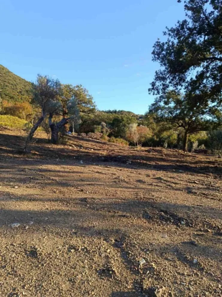 Prodaja, plac, 4250m², Bar, Crna Gora