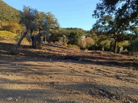 Prodaja, plac, 4250m², Bar, Crna Gora - image 4