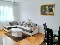 Izdavanje, jednosoban stan, 54m², Tuški Put, Podgorica - image 1