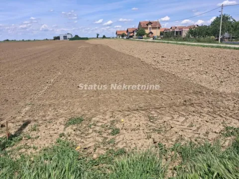 Prodaja, plac, 738m², Futog, Novi Sad Sve Podlokacije - image 7