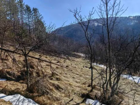 Sale, land lot, 13000m², Knjaževac, Srbija - image 5