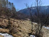 Prodaja, plac, 13000m², Knjaževac, Srbija - image 5