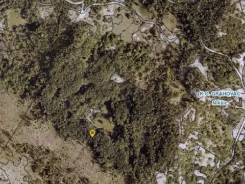 Prodaja, plac, 140339m², Grahovac, Nikšić - image 2