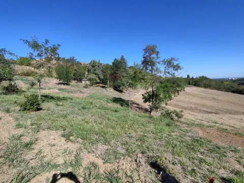 Sale, land lot, 700m², Sremska Kamenica, Petrovaradin - image 10