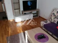 Izdavanje, dvosoban stan, 50m², Jugovićevo, Novi Sad Sve Podlokacije - image 4