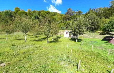 Prodaja, plac, 17300m², Crkvine, Kolašin - image 4