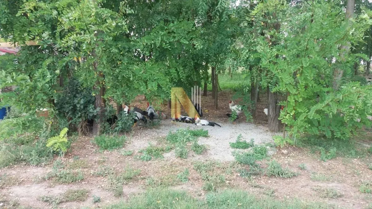 Prodaja, plac, 74000m², Žabalj, Srbija