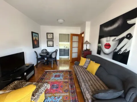 Izdavanje, jednosoban stan, 42m², Preko Morače, Podgorica - image 13