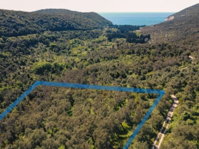 Prodaja, plac, 3030m², Centar, Ulcinj