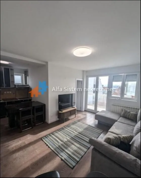 Rent, two bedroom apartment, 45m², Vračar Hram, Vračar Sve Podlokacije