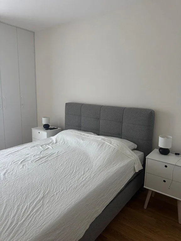 Izdavanje, jednosoban stan, 40m², Central Point, Podgorica